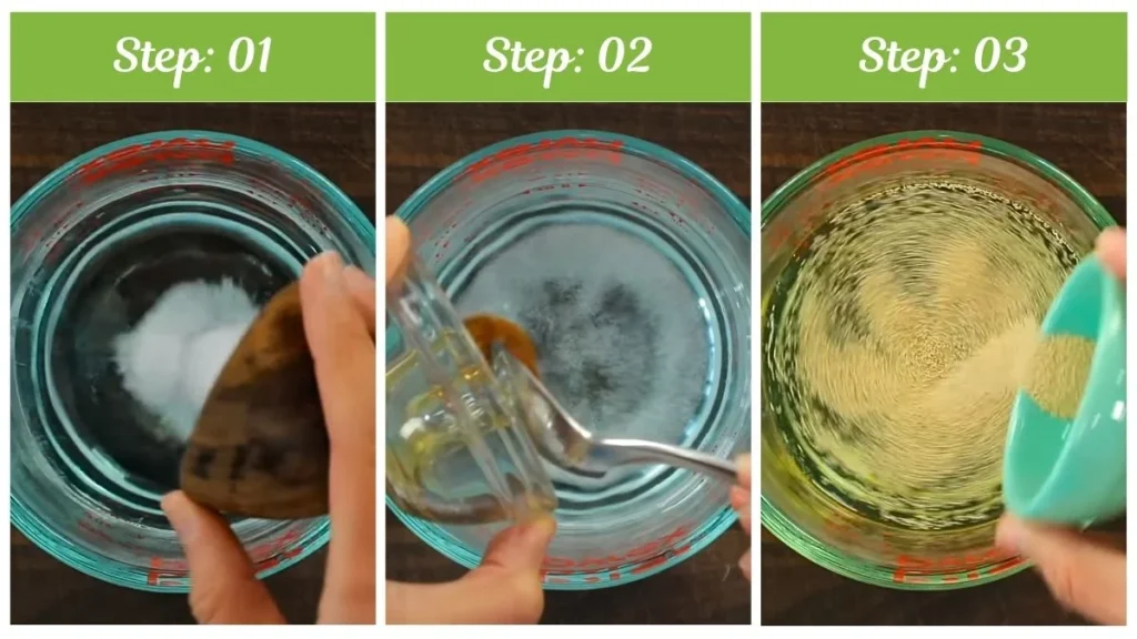 Step by Step Joanna Gaines Pizza Dough Recipe