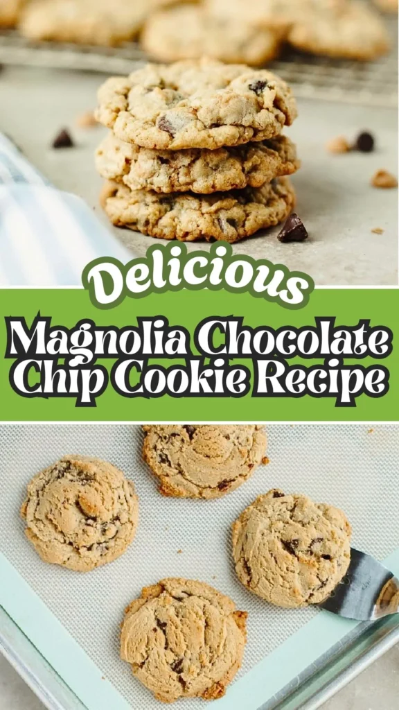 Delicious Recipe of Magnolia Chocolate Chip Cookie